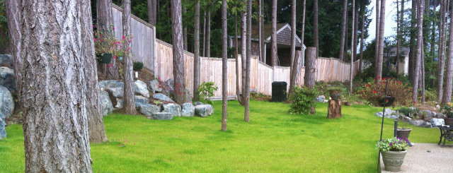 lawncare repair maintenance