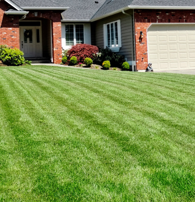 Lawn mowing Vancouver Island